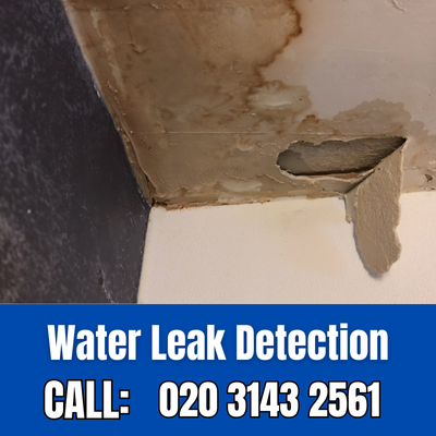 Expert Water Leak Detection Services in Wimbledon | Wimbledon Leak Detection